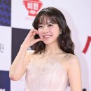 Dragon Park 이미지