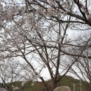 쌍림농장 이미지