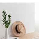 모모스튜디오 이미지