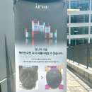 엘리시아헤어샵