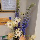 제라드앤맥스짐 헬스PT 문지점 | 문지동피티 센터! 제라드앤맥스짐 헬스PT문지점 에서 운동하고 있습니다