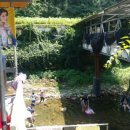 미담국수 이미지