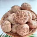 상촌농장 이미지