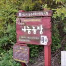 차동농장 네이버블로그