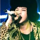 지디그룹