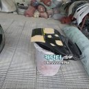 신세계종합자동차정비