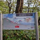 향 화장품 | 가을 한라산 등산 성판악 탐방로 등산시간 등산후기 말벌 공격 조심 화장품향 주의