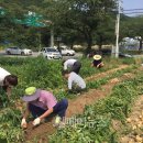 반포면사무소 이미지