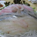 선어회식당