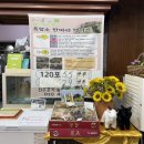 백조품은오리 | [진주 칠암동 맛집] 진주 점심특선 가성비 오리불고기 맛집, '백조품은오리' 방문기