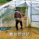 추산농로 네이버블로그