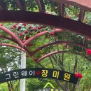 그린웨이 이미지