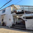 행정용 32번 | [수원독립서점] 행궁동 예쁜독립서점 브로콜리숲 다녀온 후기