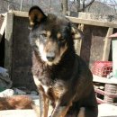 생명의집 이미지