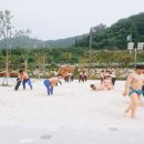 상영초등학교내 네이버블로그