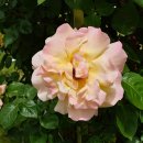 혁신도시중앙공원 이미지