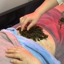 더조은헤어 - 세종특별자치시 보듬4로 9 | 전주 혁신도시 바디디톡스+쑥찜질 “더조은테라스파”