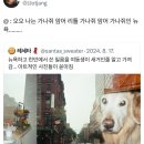 아맛나초밥 | 이너피스를 찾아서