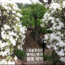 5월펜션 이미지