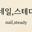 스테디네일 이미지