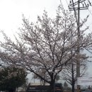 삼거리석유 이미지