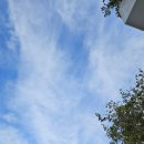 신전무대 | 그리스 아크로폴리스 방문 팁 공유 파르테논 관광 후기