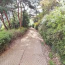 늘푸른단지공인중개사사무소 이미지