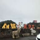 1529 | 제주도 애월 가볼만한곳 새별프렌즈 먹이체험 가능한 동물원 내돈내산 후기