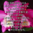 듣기 좋은 발라드 베스트 20. 존재의 이유. 너를 사랑하고도. 사랑의 미로. 옛 시인의 노래. 고귀한 선물 이미지