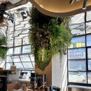 서초중앙로24길 41 (1) 이미지