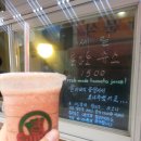 토마토 도시락(캠토) 이미지