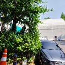 신정로(계남근린공원) 이미지