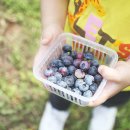 무영농장 이미지