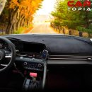 카토피아 이미지