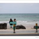 행복