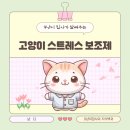 퀴토 | 고양이 스트레스 안정을 위한 보조제 (질켄, 펠리웨이 등) 후기 및 설명