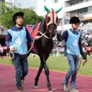 (주)티즈 이미지