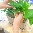 성동광진교육지원청 | 서울 성동광진교육지원청 역량강화 직무교육 교사연수 마음을 심는 응원화분만들기