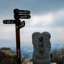 제356차 한뫼산악회 10월정기산행(달마산) 이미지