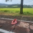 명해로주유소 이미지