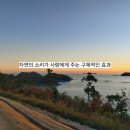 자연의 소리 | 자연의 소리가 사람에게 주는 구체적인 효과