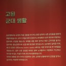 도지1교 | 종로 가볼만한곳, 2월 서울 전시회로 좋은 서울역사박물관 다녀왔어요