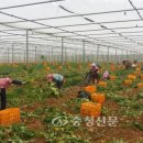 괴산군농업연구소 이미지