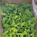 김종화농장 이미지