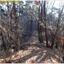 최정산 누리길 이미지