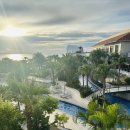 신지카서비스 | 10갤 아기랑 오키나와숙소 류큐호텔 나시로비치 조식 수영장 찐후기, 아기물품 대여품목