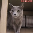 길봄 네이버블로그