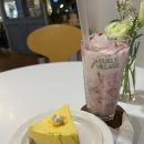 [까치울 카페] 컬리빌리지 :: 케이크 맛집🍰