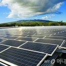 테슬라태양광발전소 이미지