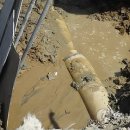 낙동강관리본부 화명생태공원 1 이미지